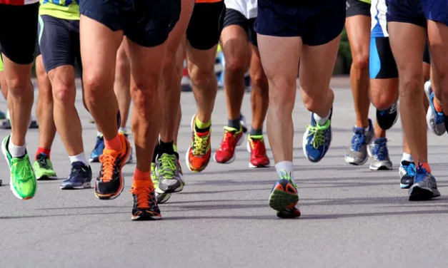 MAYER & CIE. ADDRESSES SHOE UPPER GROWTH MARKET