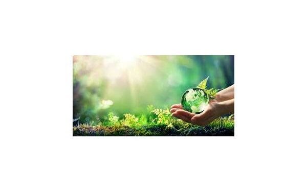 Dutch AGT defends gradual progress in green supply chain