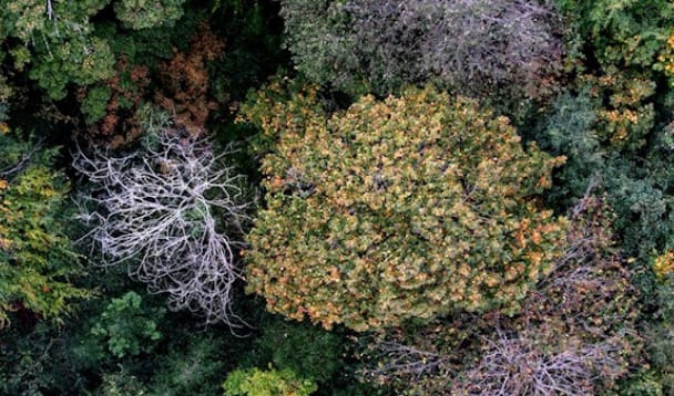 Coats has released their Sustainability Report for 2021