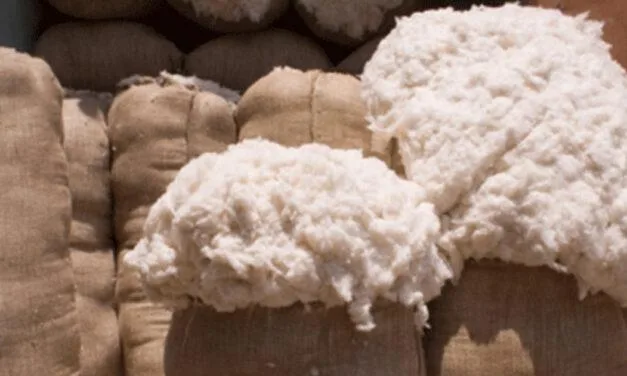 Export target likely to be missed amid rise in cotton prices