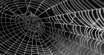 NUS College of Design and Engineering researchers produce fibres for smart textiles