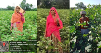 CITI- CDRA celebrates World Cotton Day with the 93000 Indian cotton farmers across the nation