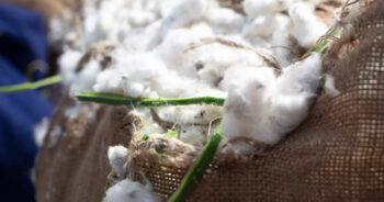 International Cotton Association and TextileGenesis sign a MoU