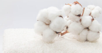 SIMA delegation appeals to FM for financial relief measures and exemption of import duty on ELS cotton