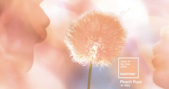 Pantone introduces Pantone Color of the Year 2024