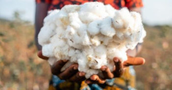 AbTF announces annual Cotton Conference in Mumbai: A Sustainable Future for Cotton