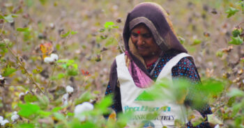 Sourcery launches groundbreaking solution for primary data collection