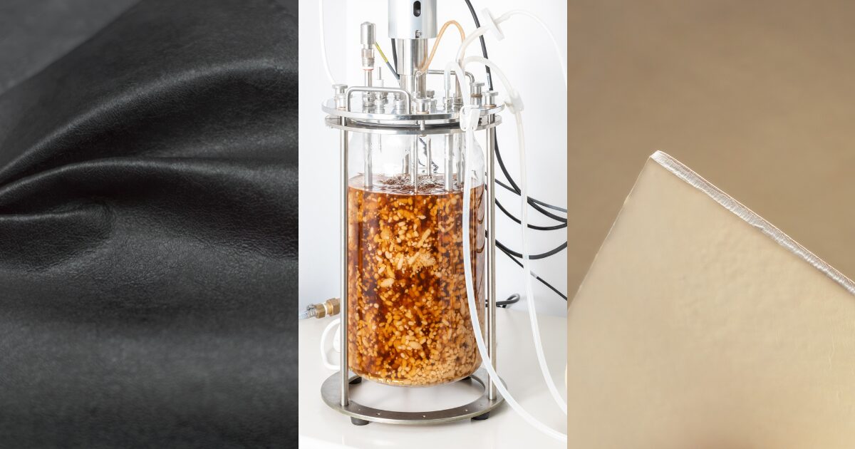 C.L.A.S.S. & Filo extraordinary 