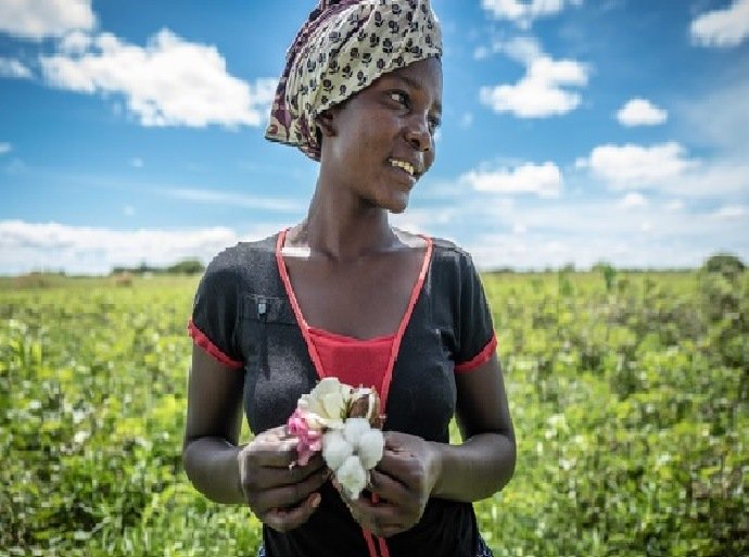 World Cotton Day Cotton made in Africa Celebrates