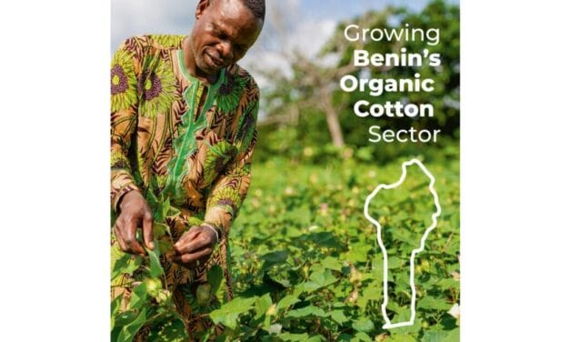 Cotton farmers in Benin Benefit from organic cotton cultivation