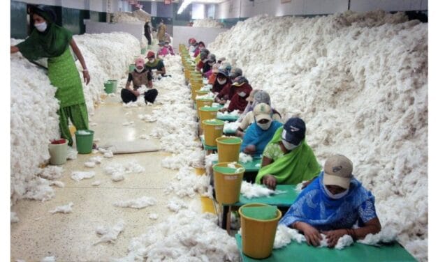 India’s cotton textile exports decline by 29% in 2023-24