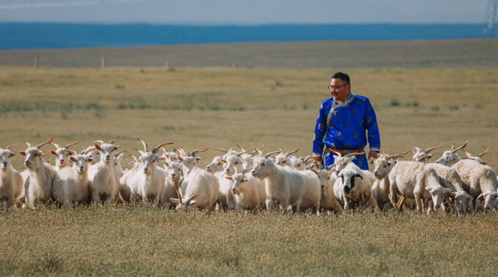 The Good Cashmere Standard