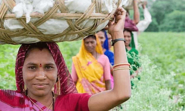 Bangladesh provides training to 60,000 farmers