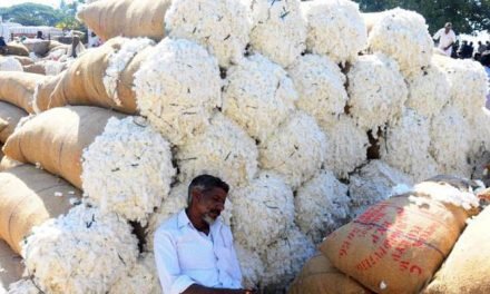 Govt. to enter the market if cotton price touch/ falls below MSP