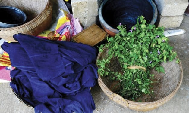 Bacteria getting used to make Sustainable Indigo Dyes