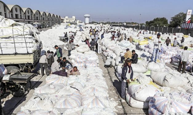 International buyers interested in sourcing cotton from India