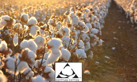 Egyptian cotton most recognised cotton in USA