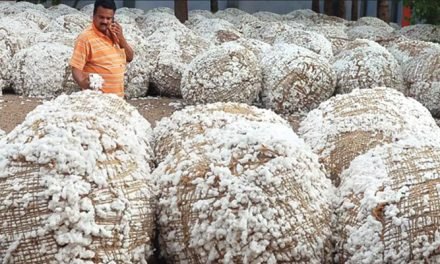 China to buy 5 lakh bales of cotton from India
