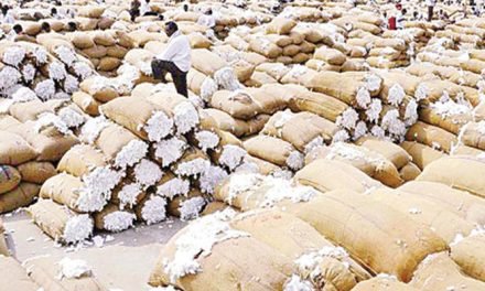 Cotton market to face difficulties due to uncertain trade policies