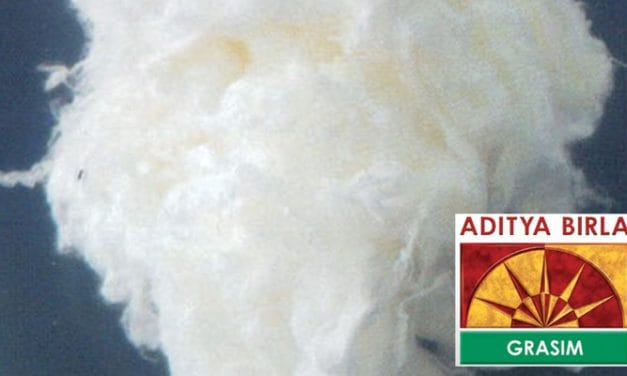 Grasim to concentrate on its viscose staple fibre business to register growth