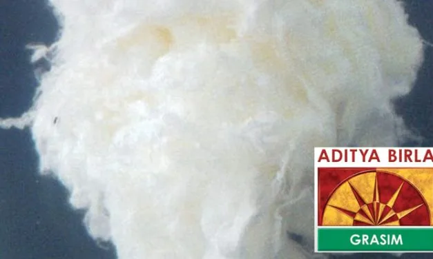 Grasim to concentrate on its viscose staple fibre business to register growth