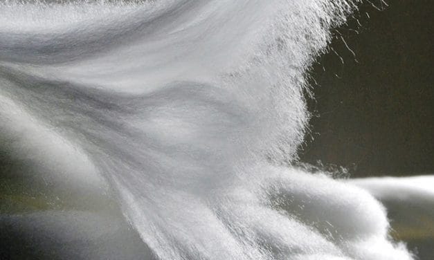 Lenzing to begin speciality viscose production in China