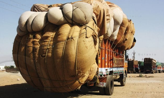 SIMA hails the cabbotage rule relaxation for cotton transport