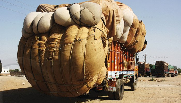 SIMA hails the cabbotage rule relaxation for cotton transport