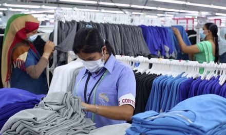 India’s apparel exports fall by 17 per cent
