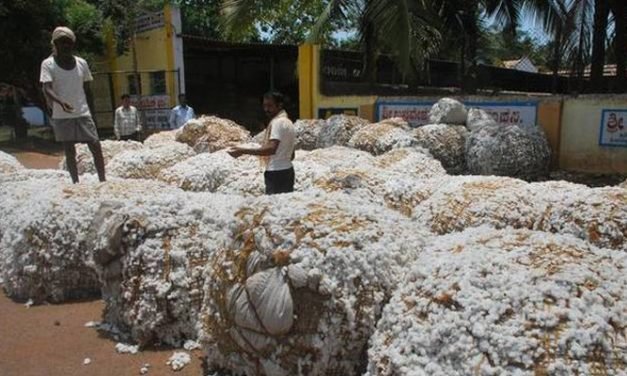 Telangana wants 25 CCI cotton purchase centres