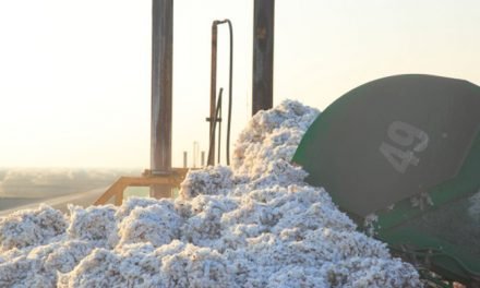 Oritain to offer ‘100 per cent traceable cotton’ collaboration