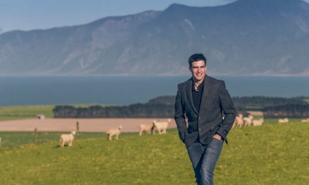 Brands launch certified responsible wool clothes