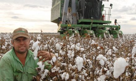 LoRa tech helping cotton growers in Australia