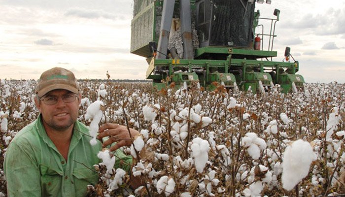LoRa tech helping cotton growers in Australia