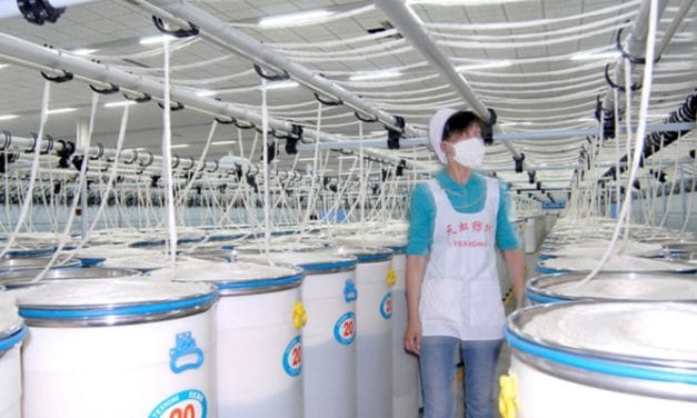 Texhong Textile acquires Winnitex