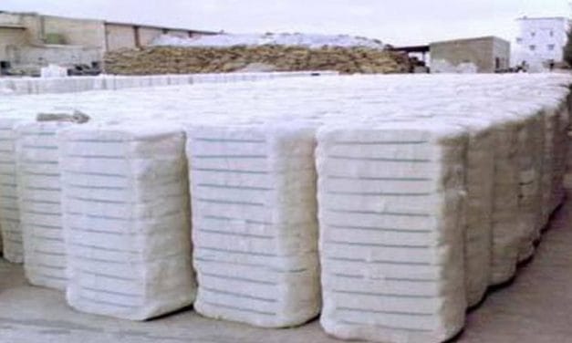 India’s this year’s crop may well be the lowest in a decade