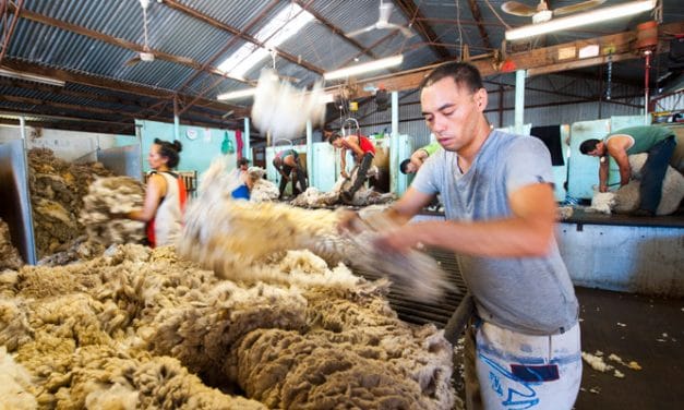 Australian wool market remains dull