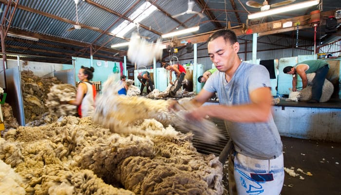 Australian wool market remains dull
