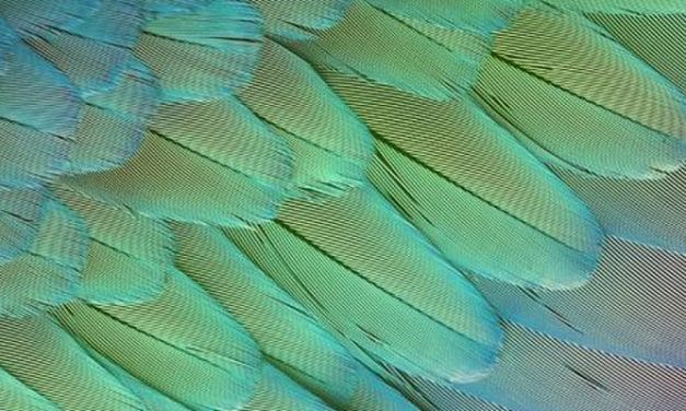 Hyosung drives sustainability at Performance Days