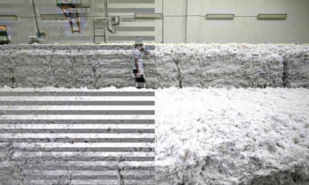 Vagmi Cottons to build ginning unit in Zambia