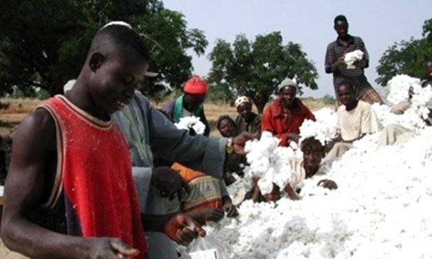Cameroon to dedicate part of EU budget support to cotton