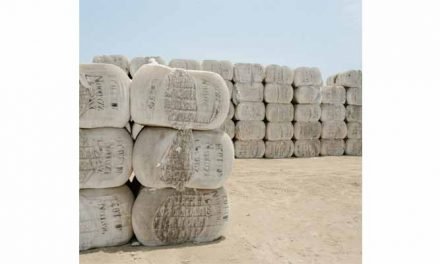 USDA forecasts record world cotton mill usage in 2019-20