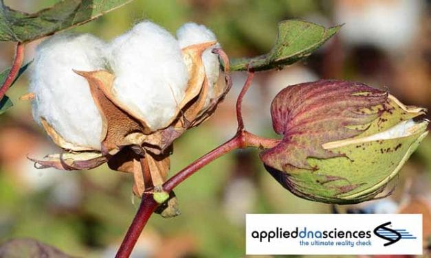 Applied DNA Sciences develops assays for Egyptian Pima