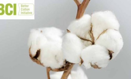 Better Cotton accounts for 19 per cent of global production