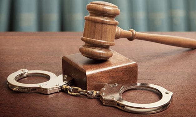 Delhi based company owner gets 1.5-year jail term for causing water pollution