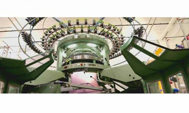 Monarch celebrates 50th anniversary