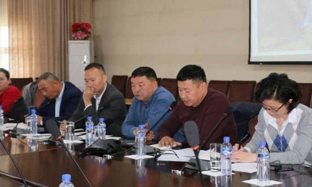 Mongolia developing Yak, camel wool cluster