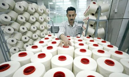 Plans to upgrade of state-run spinning, weaving firms in Egypt
