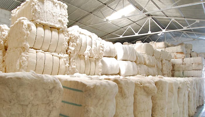World cotton trade and stocks higher in 2019-20