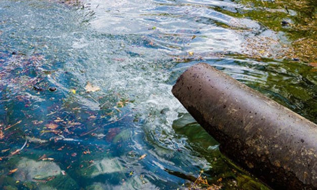 Textile delegation meets Rajasthan CM to discuss water pollution